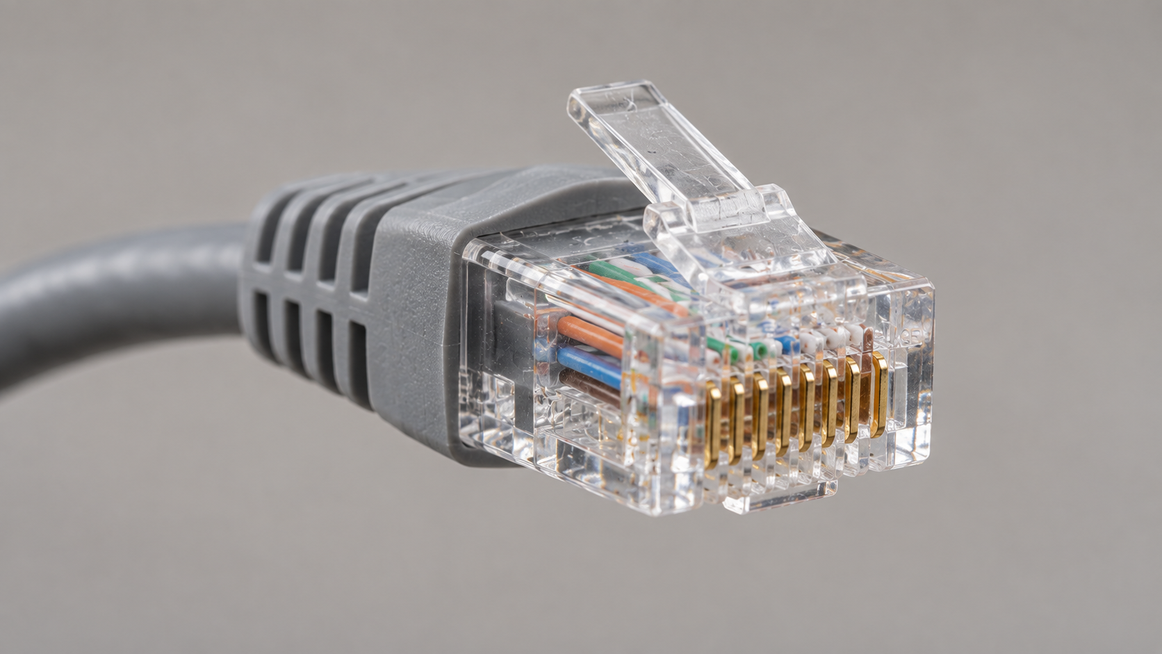 What Does an Ethernet Cable Look Like? How to Identify Oneimage